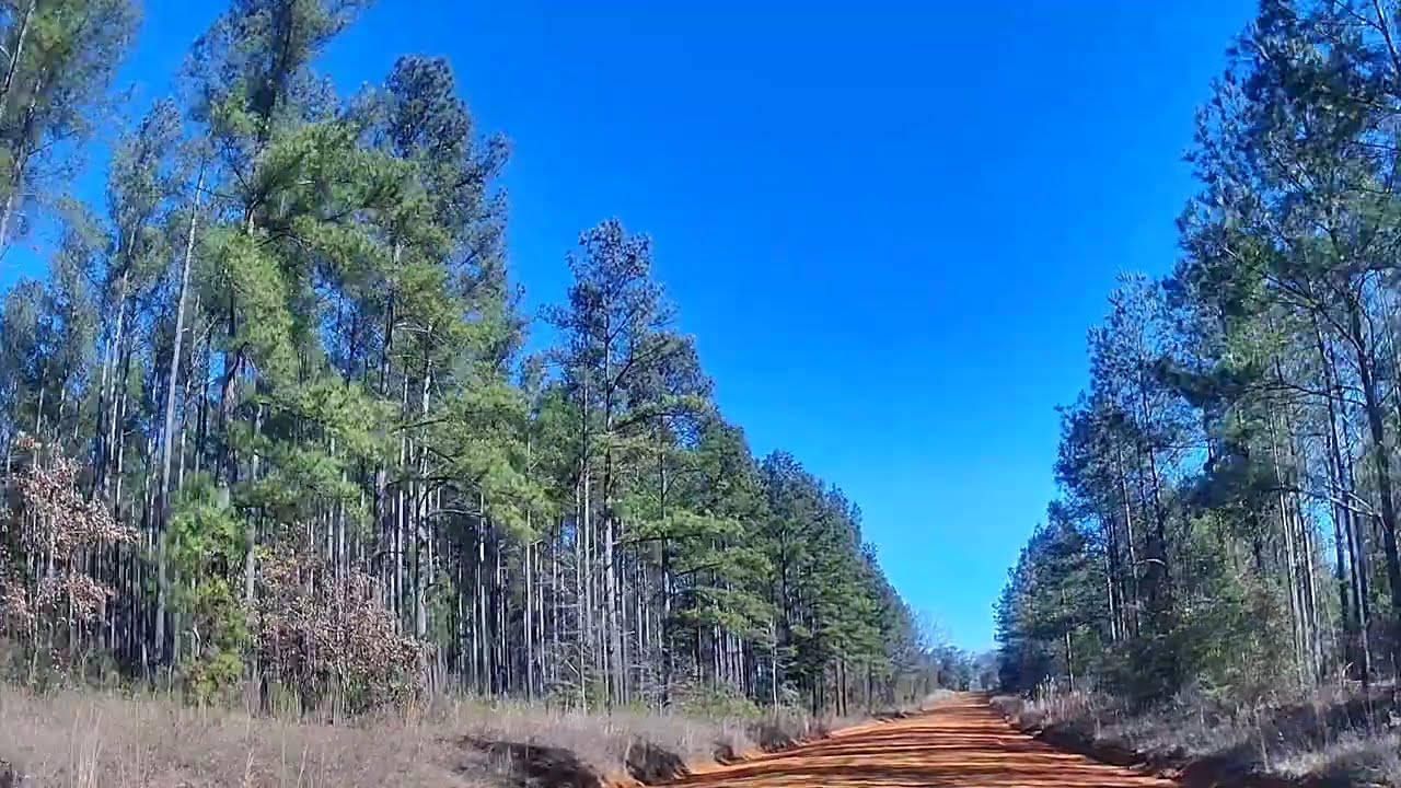 Countryside Road Drive | Scenic Burke County, Georgia