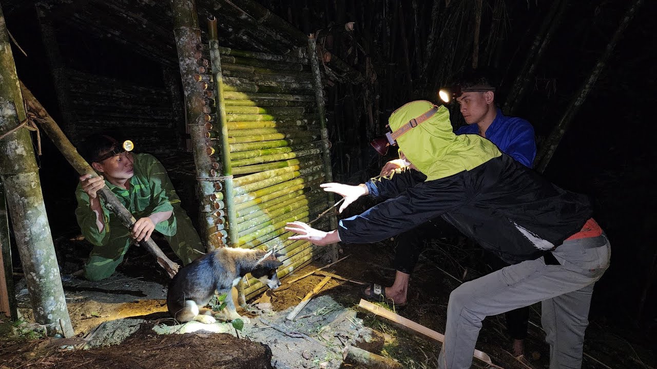 INTRUDERS - Fighting Intruders in the Night - Wild Chicken Trap, Dog Rescue, king kong amazon