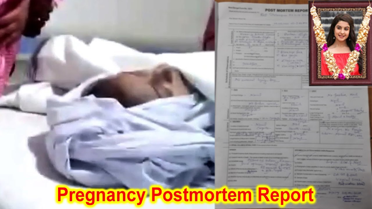 Tunisha Sharma Pregnancy and Postmortem Report | Tunisha Sharma News Today live Hindi