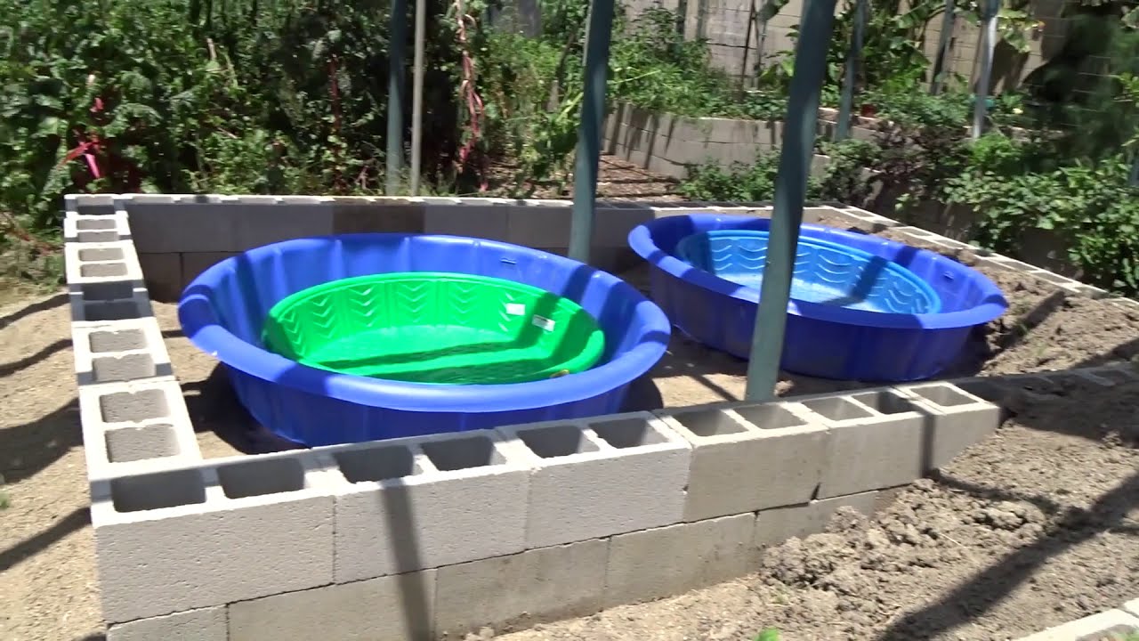 Growing Bug Free Strawberries In a Double Kiddie Pool System Self Watering Container Garden Planter