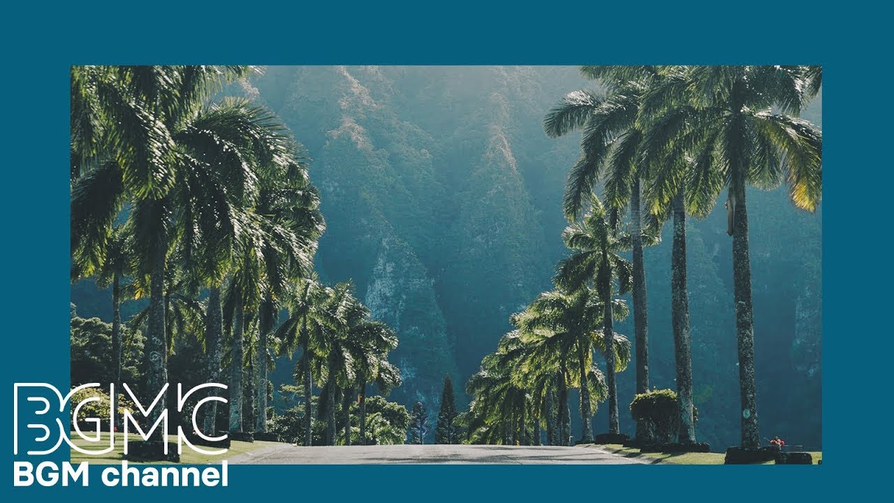Relaxing Tropical Beach Cafe Music - Hawaiian Music: Island Paradise