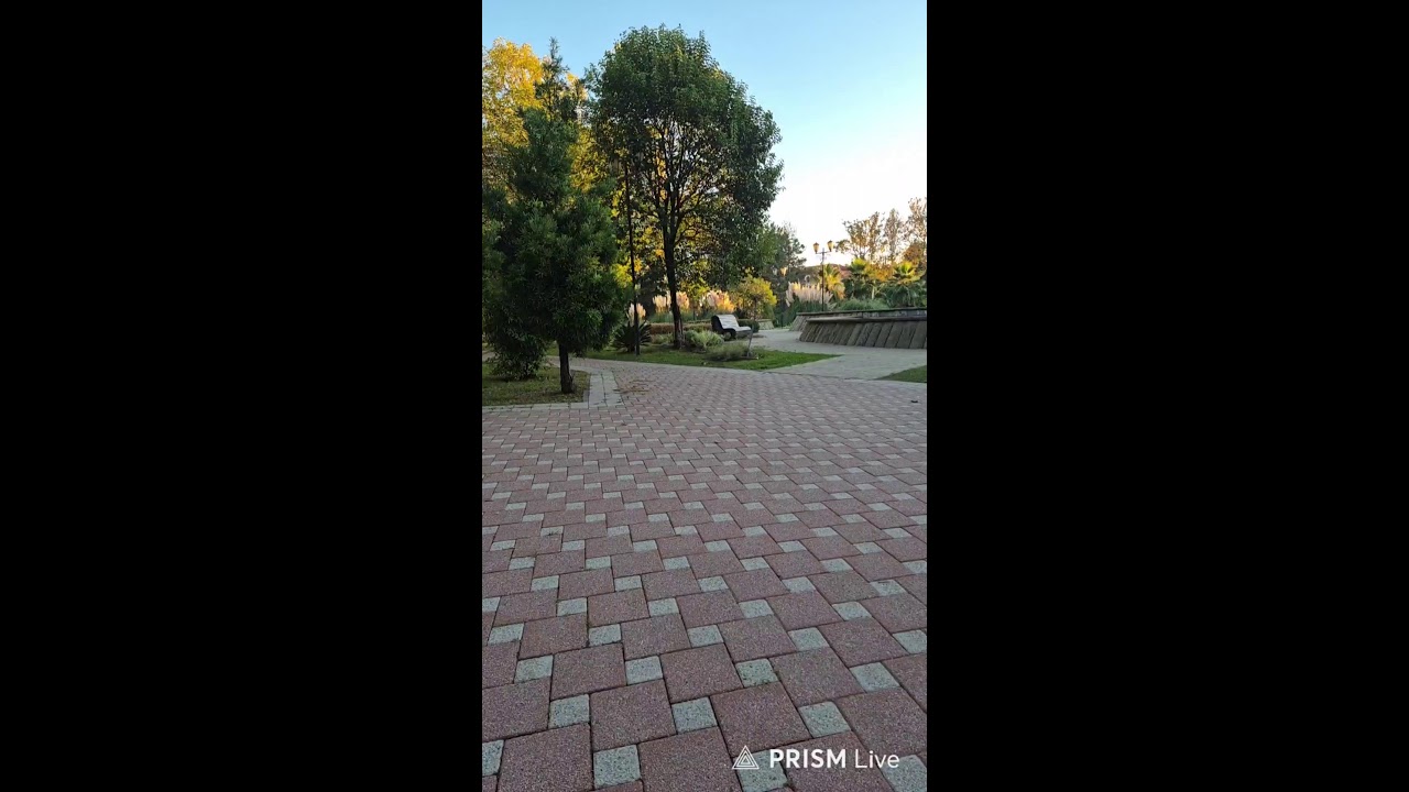 Прямая трансляция Sergey _Konevtsov