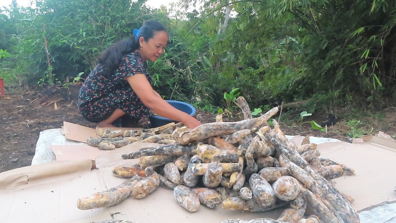 SOLUSI BIKIN GAPLEK BIAR EMPUK|| MAKANAN ZAMAN NENEK MOYANG