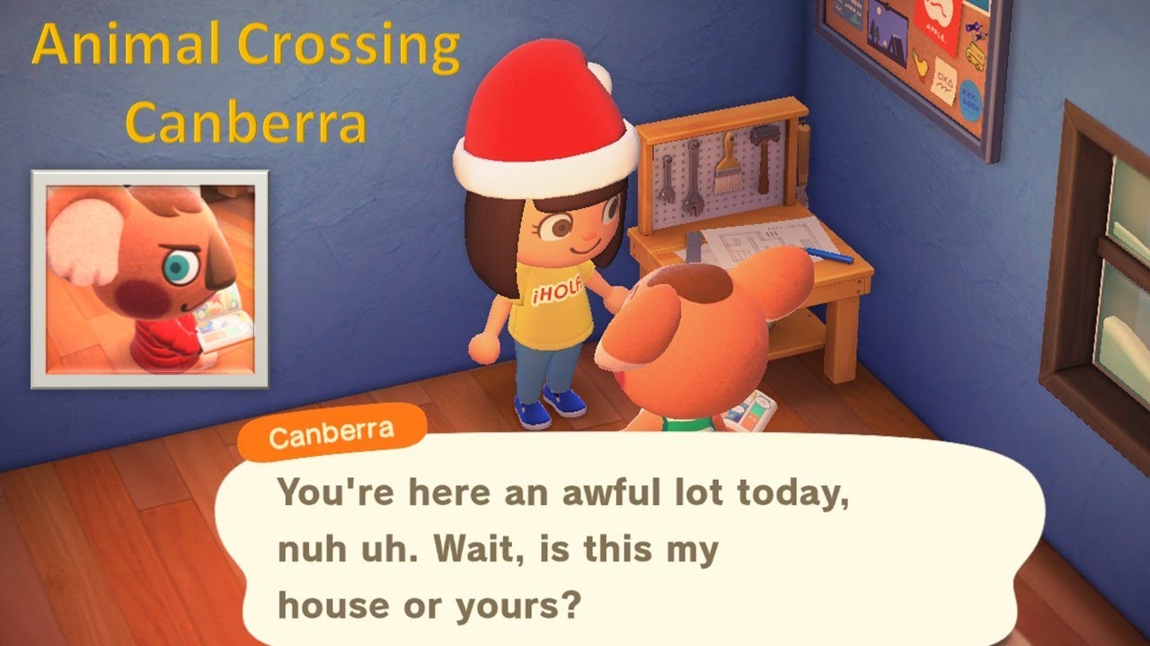 Animal Crossing | Canberra (Part 1)