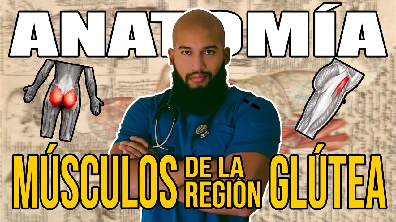 ANATOMÍA - MUSCULOS DE LA REGION GLUTEA o PELVITROCANTEREOS (Origen, Inserción, Acción, Inervación)