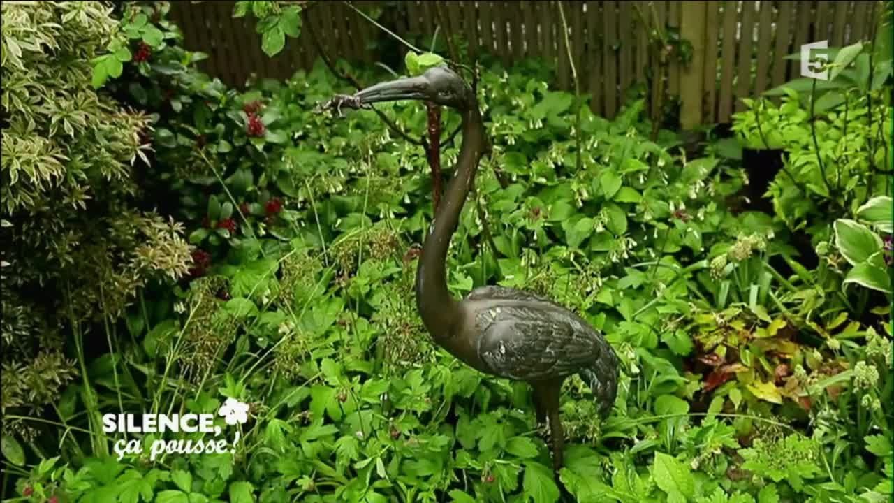 Le jardin de Dan - Silence, ça pousse !
