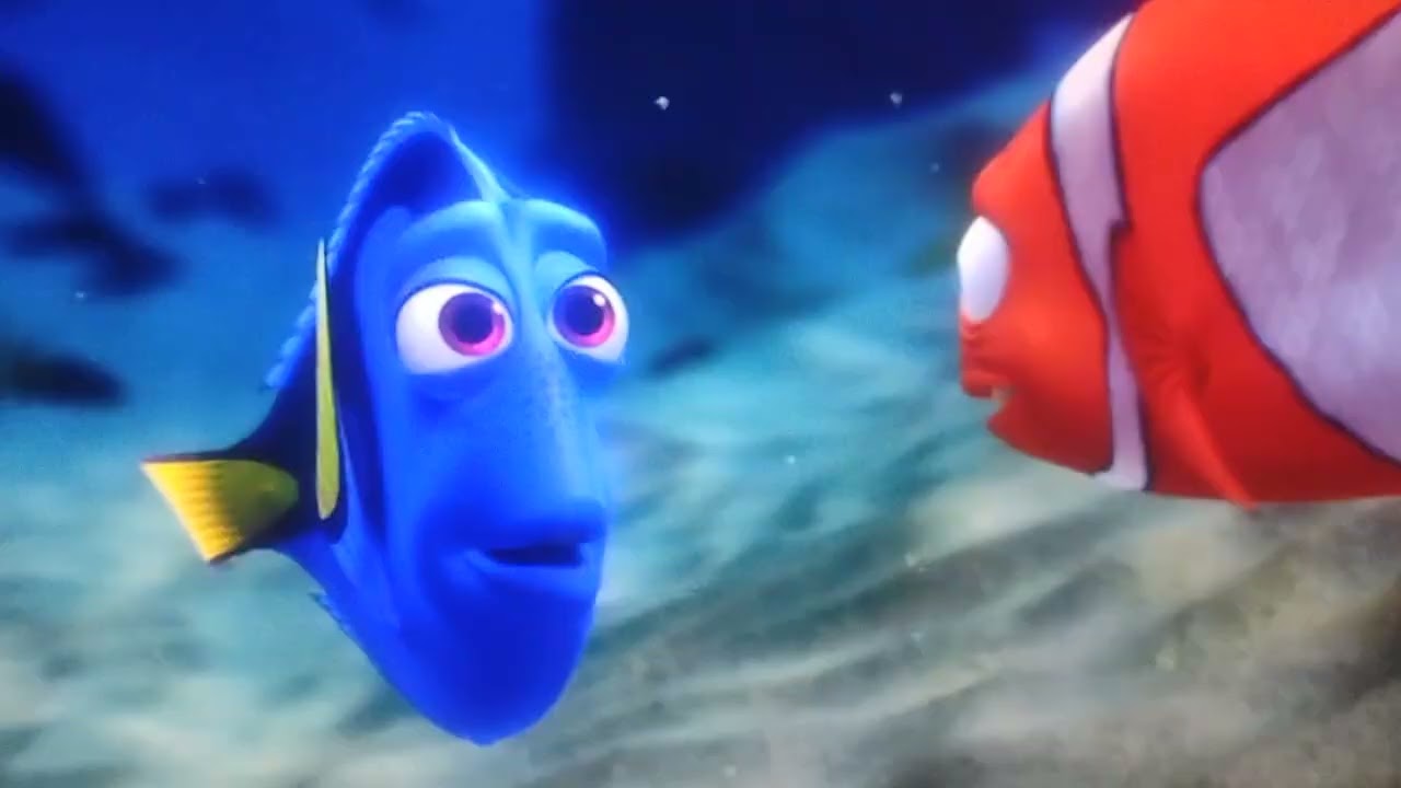 #findingnemo 
