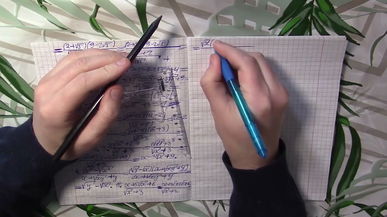 Никто не ждёт! Мардан