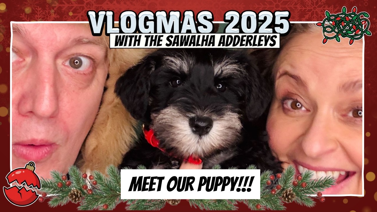 Vlogmas '25 Day 1 - Our Festive Christmas Surprise ... We Got a PUPPY!! 