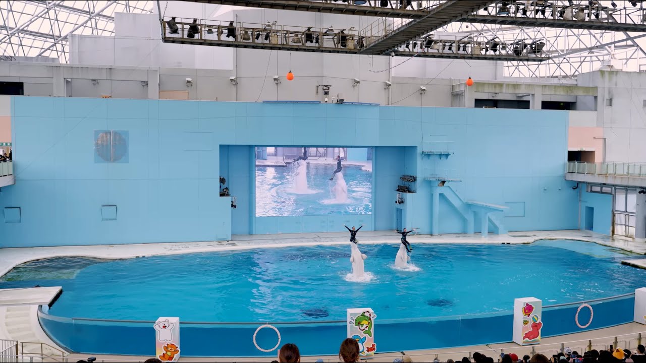 【4K】横浜・八景島シーパラダイス 「海の動物たちのショー」（2023.3.24）
