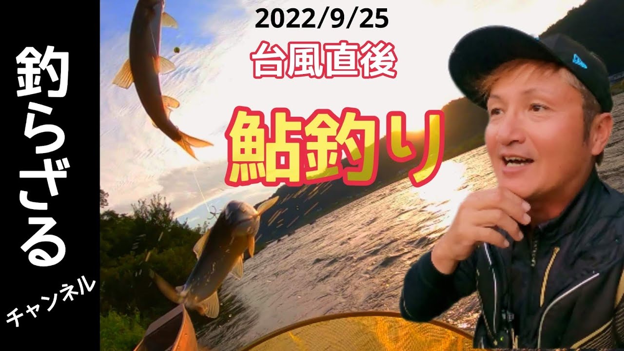 【鮎釣り2022】台風直後の長良川で友釣り！長良川上流から中央まで