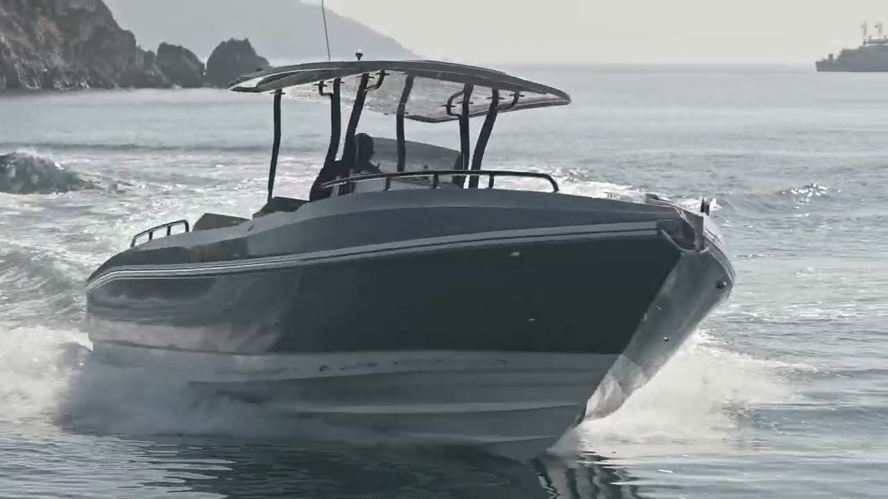 WAVE BREAKER 310cc