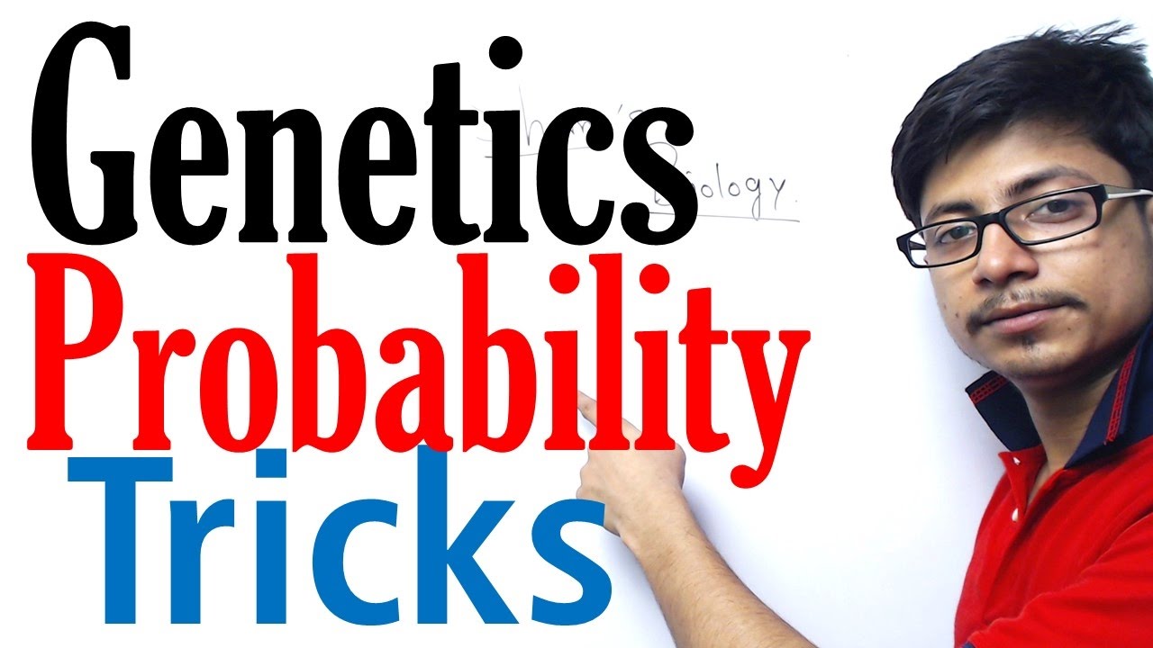 How to solve genetics probability problems