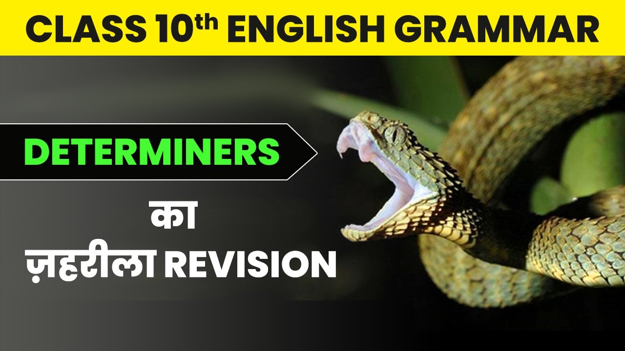 Determiners in English Grammar | Class 10 English Grammar 2022-23