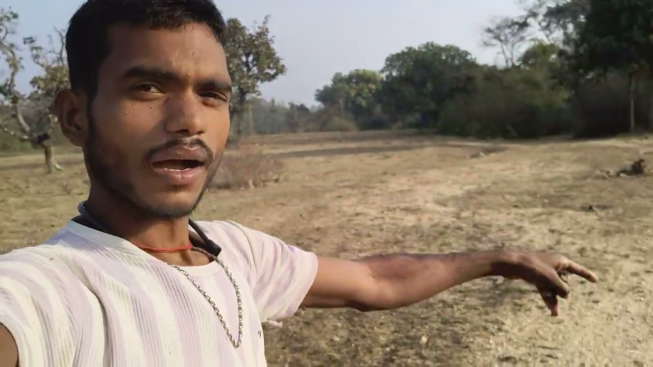 मेरे गांव का वीडियो आप लोग देख सकते हैं भाई कितना खूबसूरत नजारा है#viral #vlog #shortvideo 