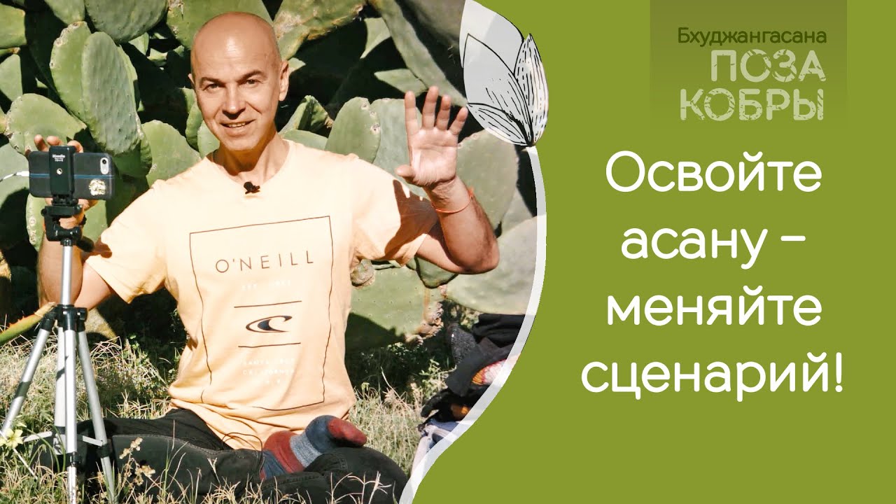 Уроки йоги: Бхуджангасана. О бедности, изобилии и эзотерике асан