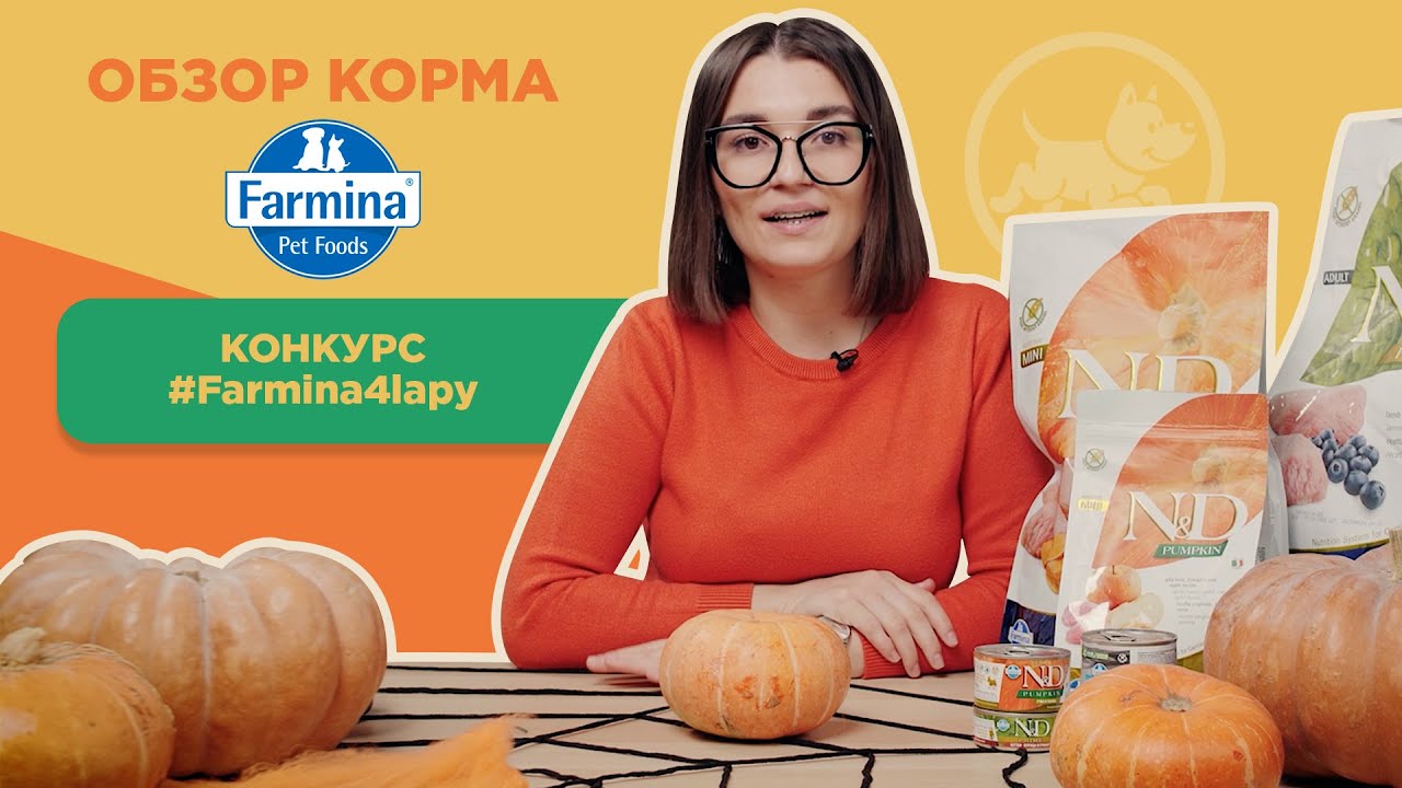 Обзор корма Farmina