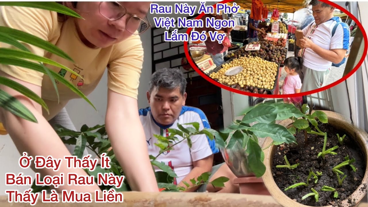 156, Chợ Đêm Hôm Nay Nguyên Đi Mua Được Rau Ngò Gai Việt Nam Chồng Malaysia Vui Mừng Mua Liền Về Nhà