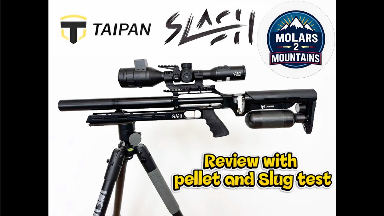 Taipan SLASH Review with Pellet/Slug Power & Accuracy Test