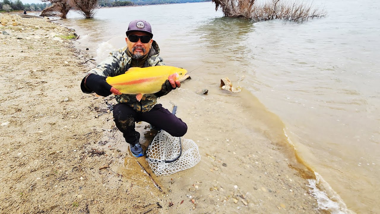 Mt Lassen Trout are Biting at Collins Lake California.