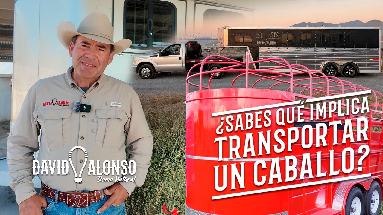 ¿Sabes qué implica transportar un caballo?