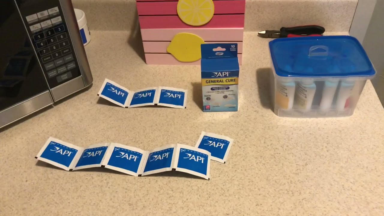 Fish Improving! Day 7 using API General Cure…