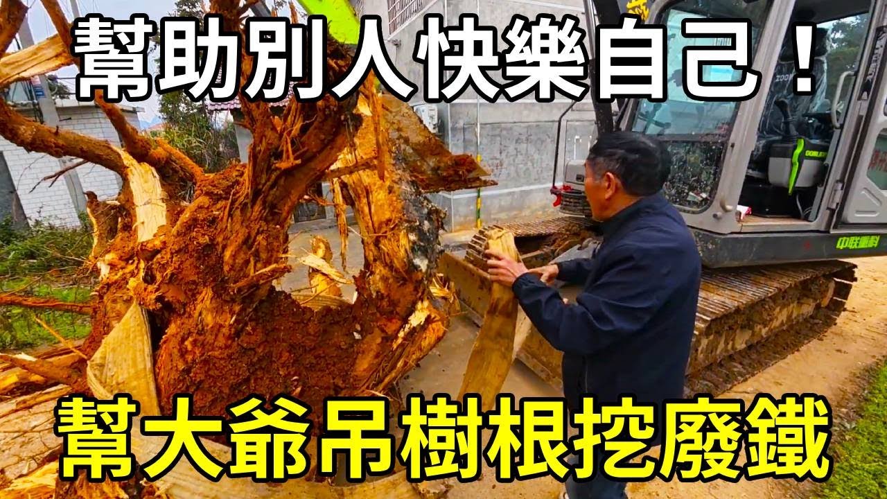 開著挖機回家的路上，幫大爺吊樹根挖廢鐵，幫助別人快樂自己！ 【陳師傅開挖機】