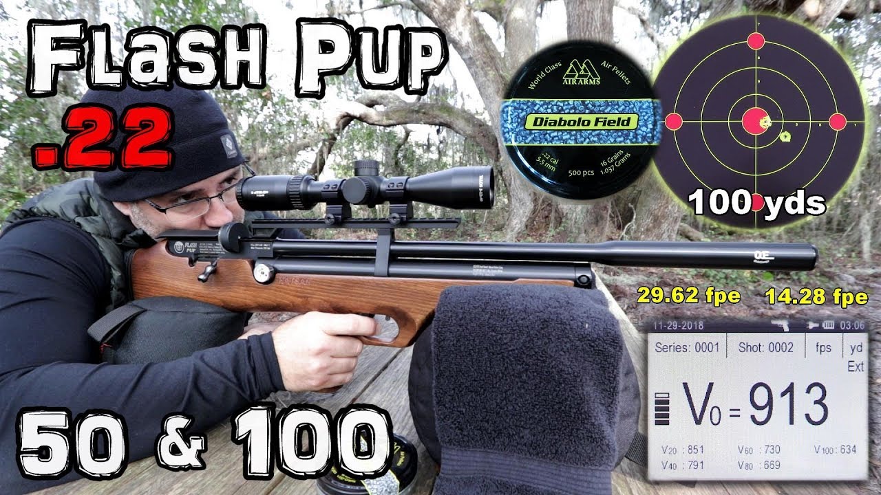 Hatsan Flash Pup .22 Air Rifle + 50 & 100 Yard Accuracy TEST + FULL REVIEW - Spark Air Compressor