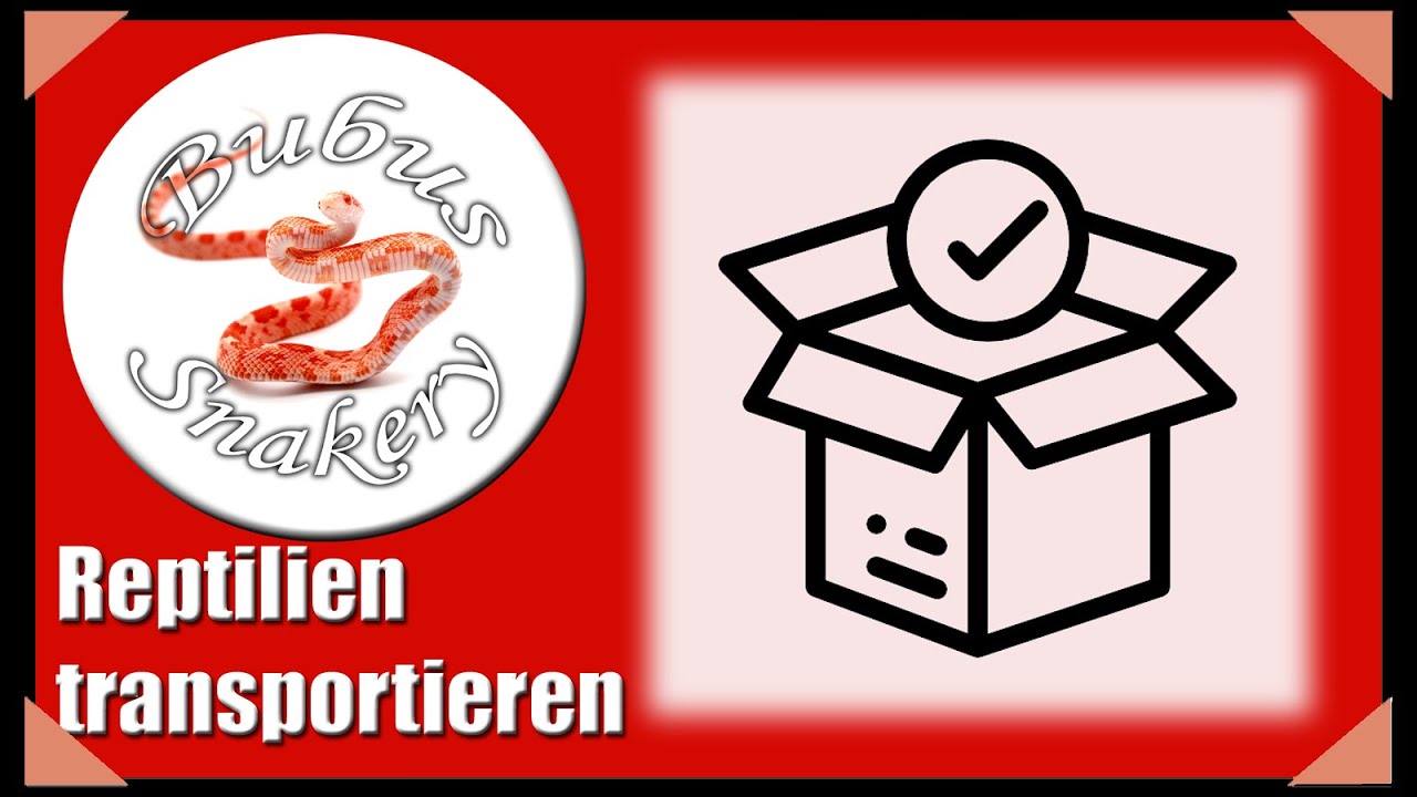 Schlangen / Reptilien richtig verpacken für Versand / Transport