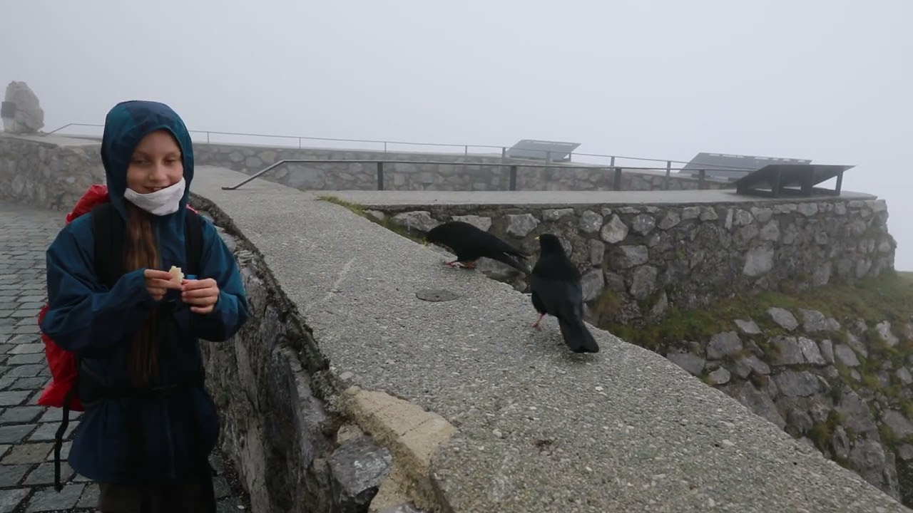 Europe impressions - Austria - Innsbruck - funny feeding Jackdaws at 