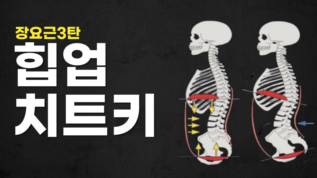 힙업을 위해서는 이 영상을 꼭 보세요 #장요근 #힙업