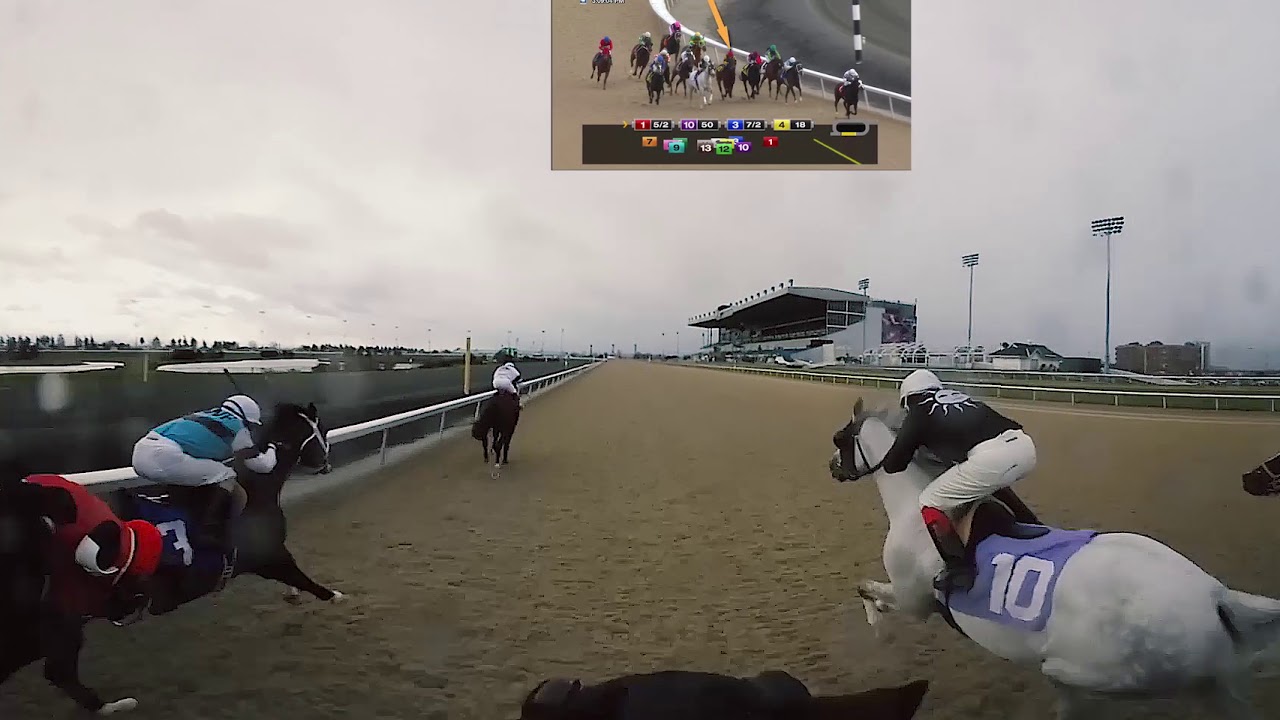 360 SPHERICAL VR HORSE RACE