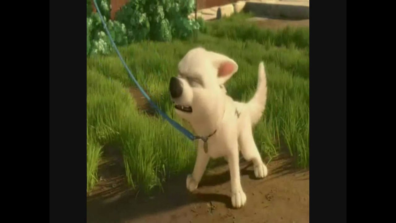 You're the One Bolt *to AlphaWolfKodi