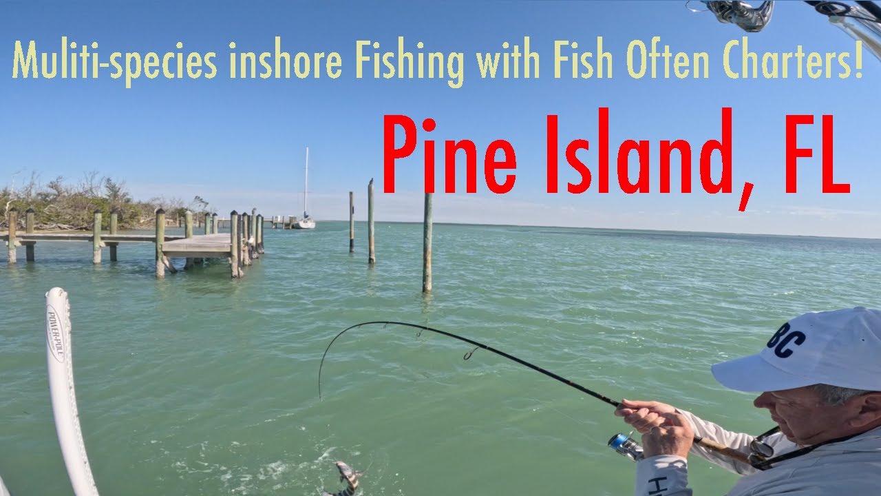 Fishing for Sheepshead, Red Snapper and Mangrove Snapper off Pine Island with @FishOftenCharters