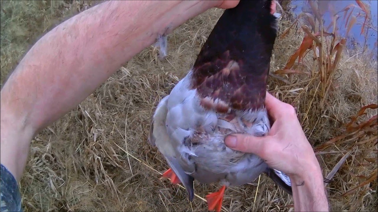 From McKay to Irrigon pt  2