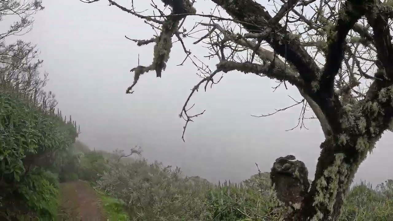 Ruta de Senderismo por Gran Canaria 🥾 | Paisajes Naturales Increíbles