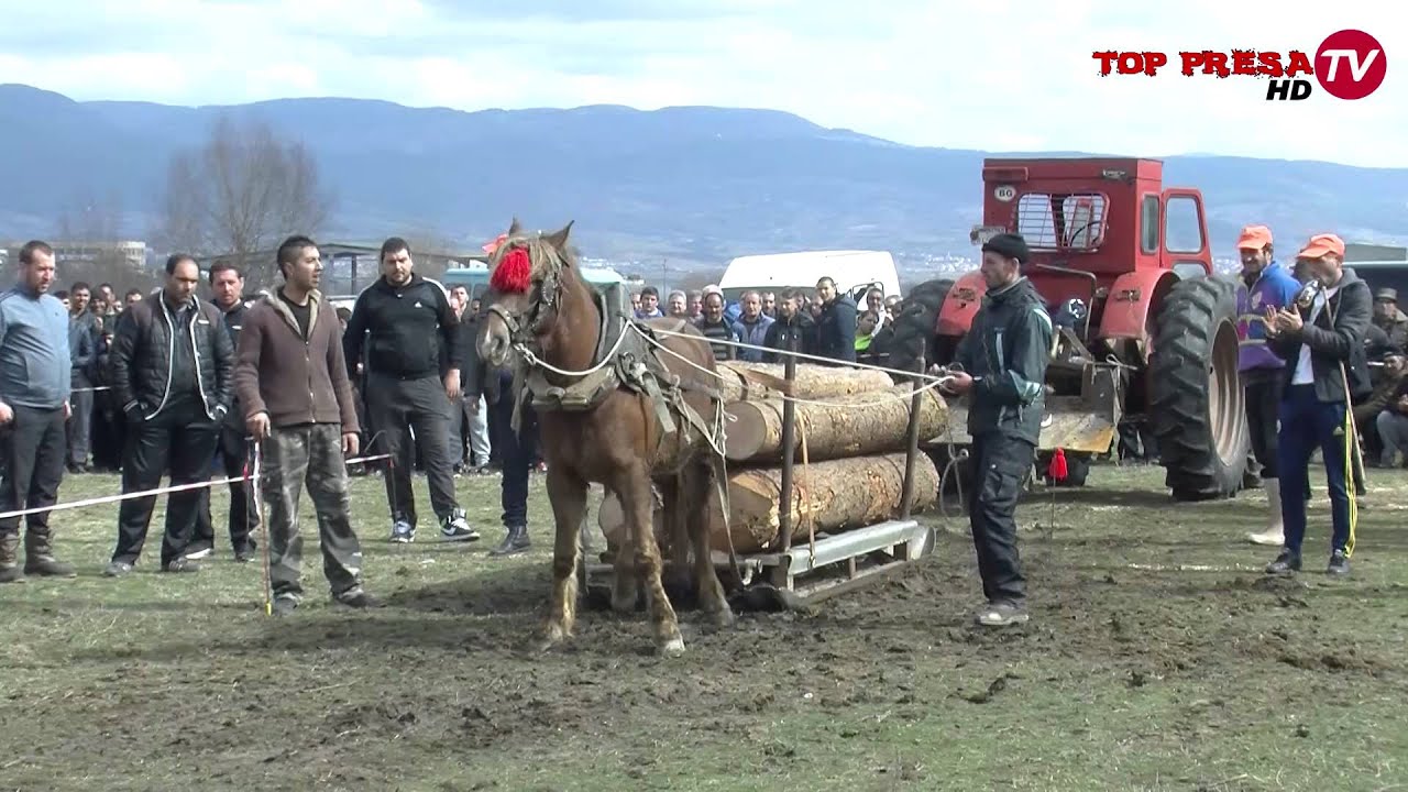 ВИДЕО: Скачки на Тодоровдене – Гоце Делчев