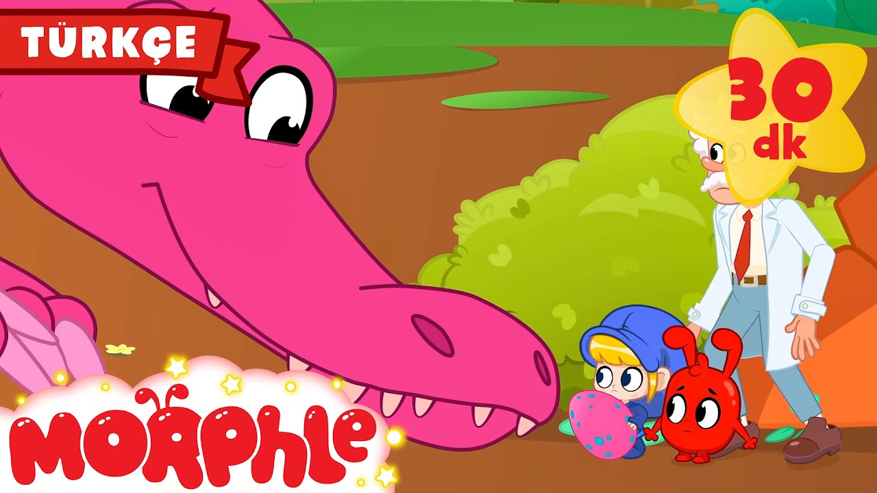 Dinozor Yumurtası 🐱‍🐉| Çocuk Çizgi Filmleri | Morphle Türkçe