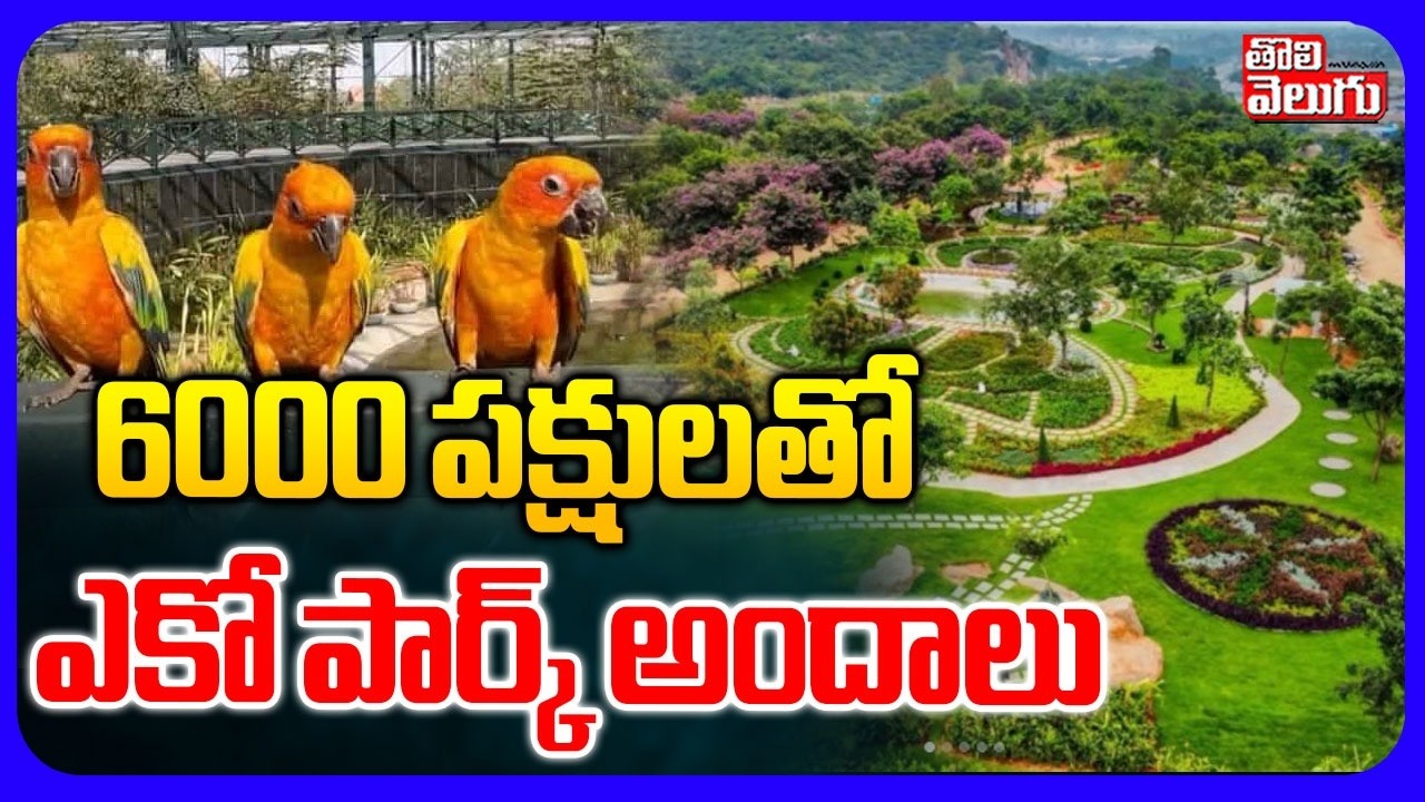 Biggest Birds Aviary in India || HimayatSagar EcoPark | 6000 పక్షులతో ఎకో పార్క్ అందాలు | Tolivelugu