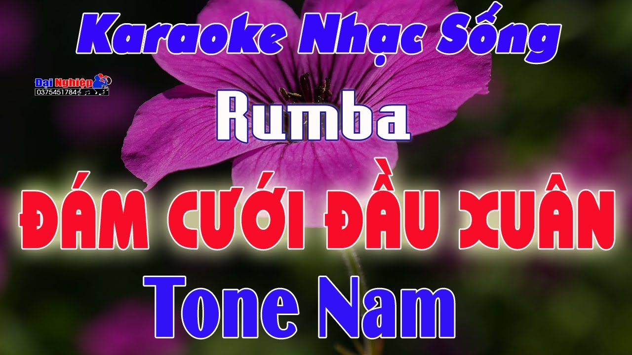 Đám Cưới Đầu Xuân Karaoke Tone Nam Nhạc Sống Rumba || Karaoke Đại Nghiệp
