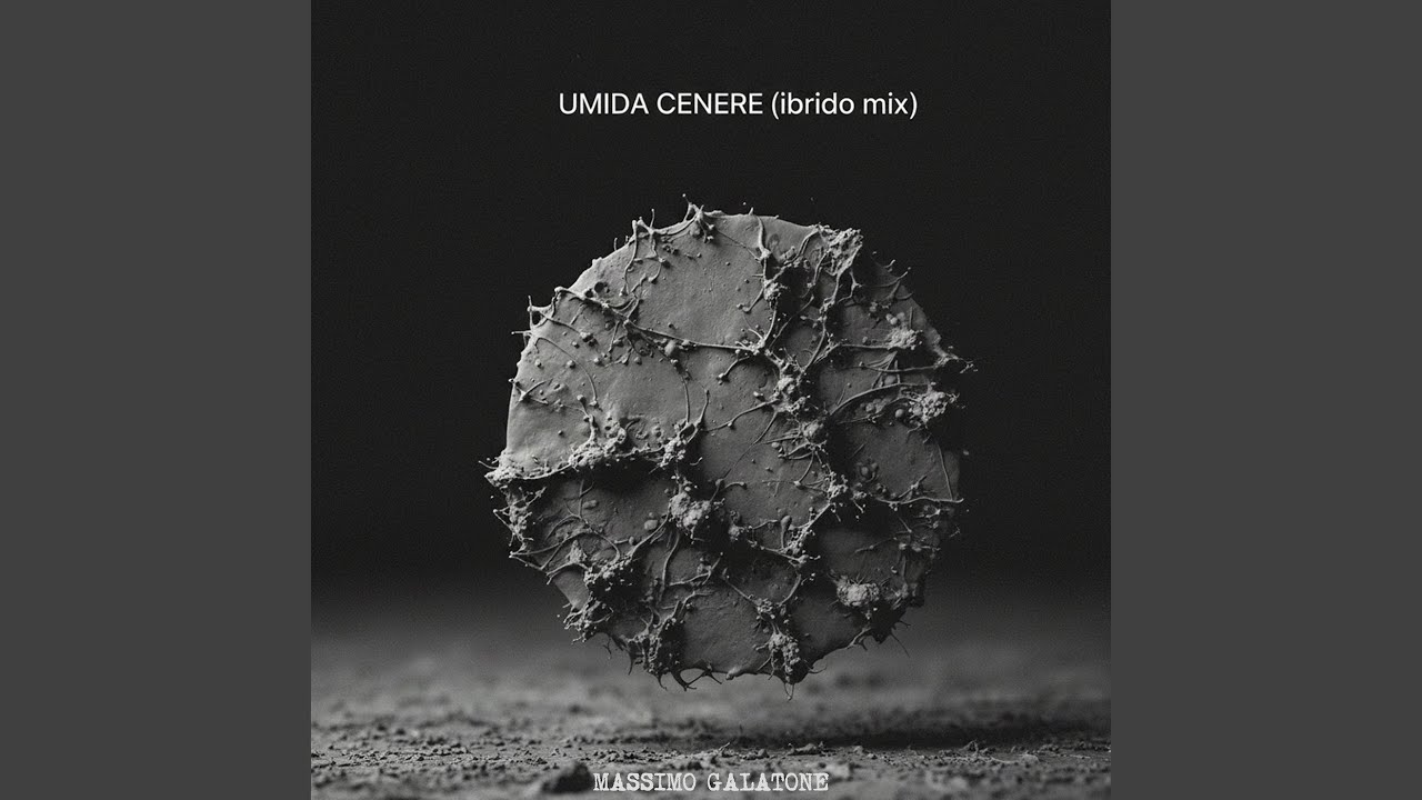 Umida Cenere (ibrido mix)