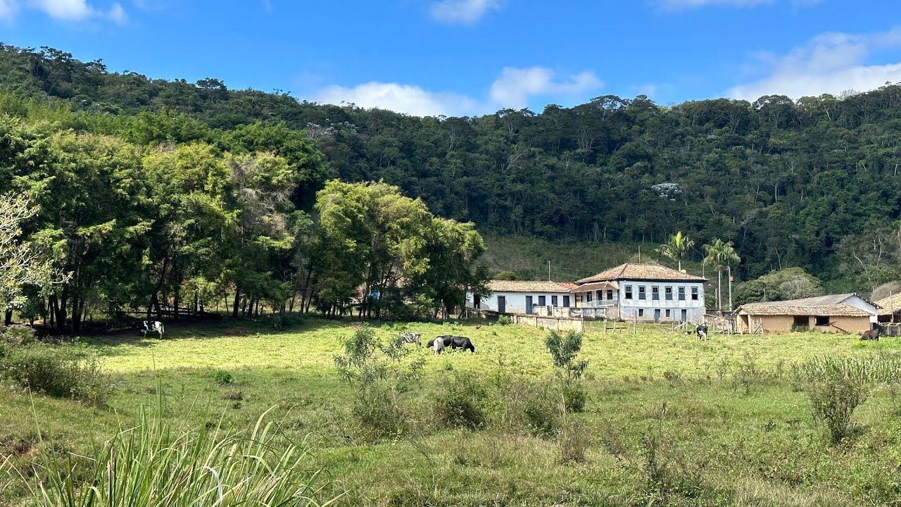 Fazenda Balisas, fazenda com 369 hectares toda documentada e excelente topografia 📲(32)988126834