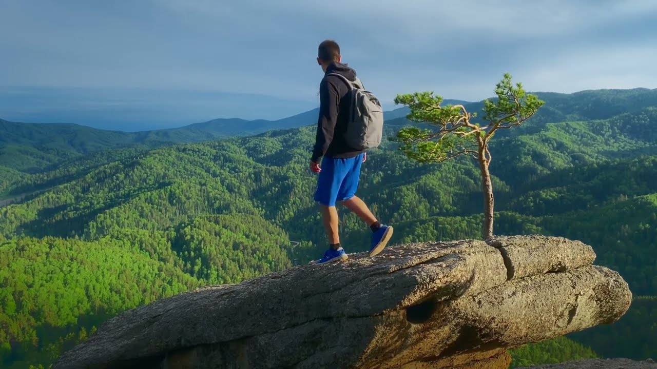 ASRM. Ambient nature (Одинокая сосна. 10.06.2021)