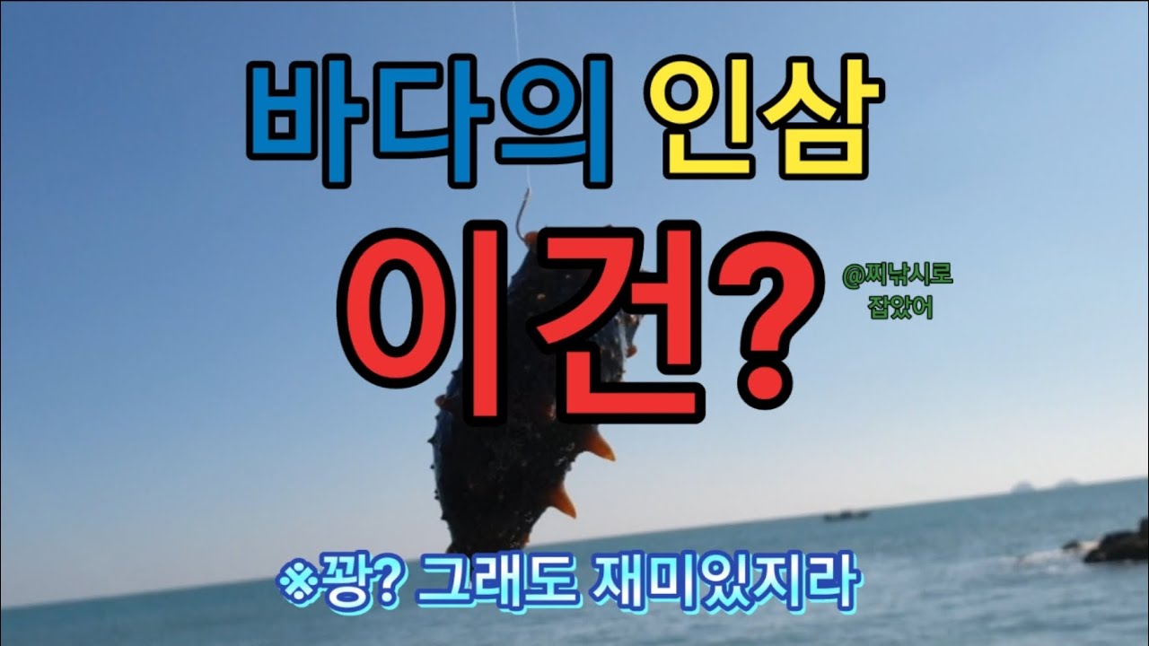 [제로찌]여수 소횡간도 감성돔 찌낚시/이거슨? 개그인가 낚시인가.