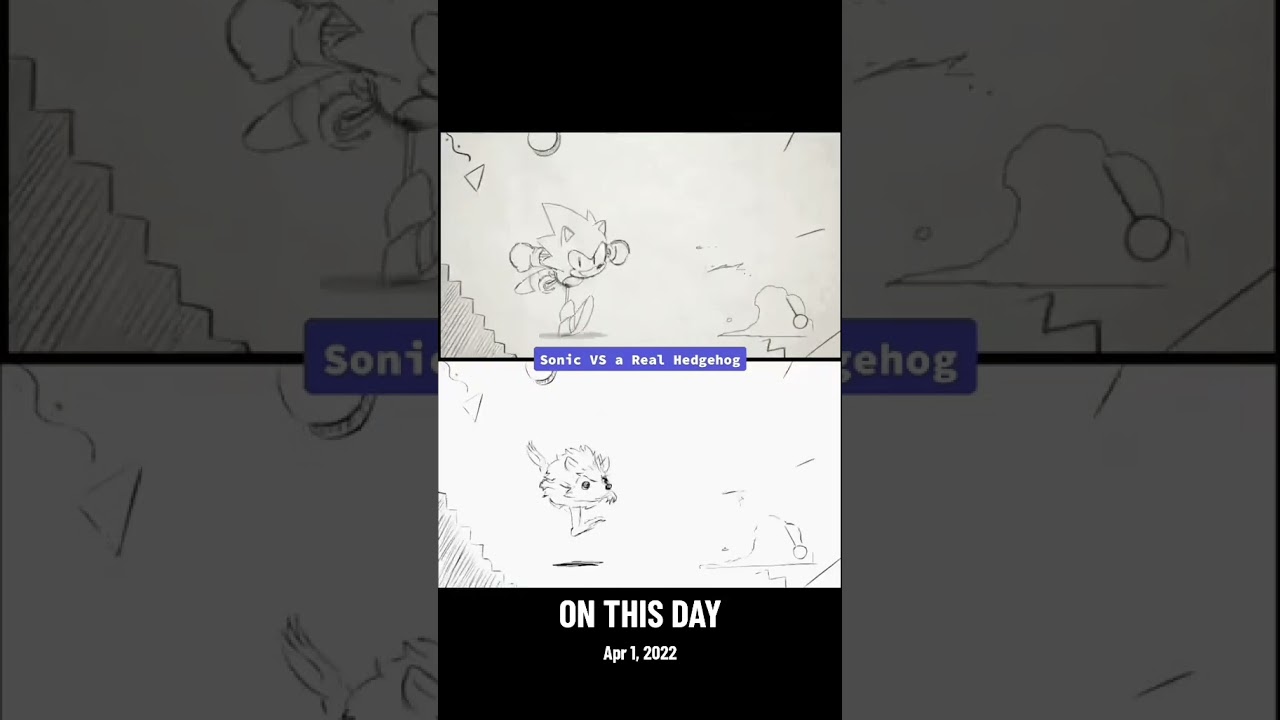 Sonic vs a real hedgehog #animation #sonicmania #cartoon #funny