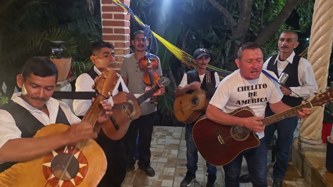 María Elena🎶🎻🎸