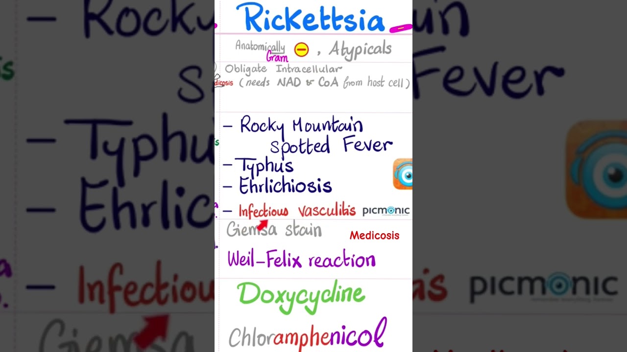 Rockettsia - Rocky Mountain Spotted Fever, Typhus, Ehrlichiosis - Bacteria- Microbiology 🧫 #biology