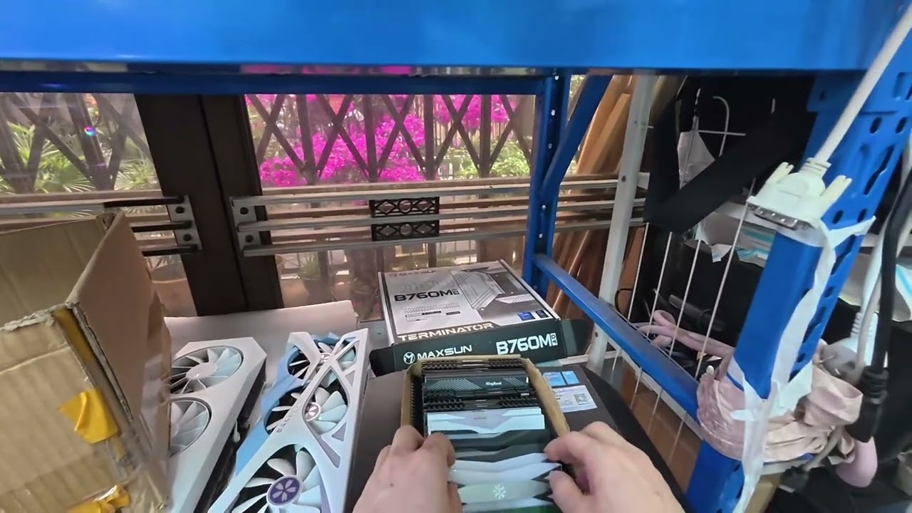 #温州同城 #温州 #海景房主机 买回家哥哥天天打弟弟