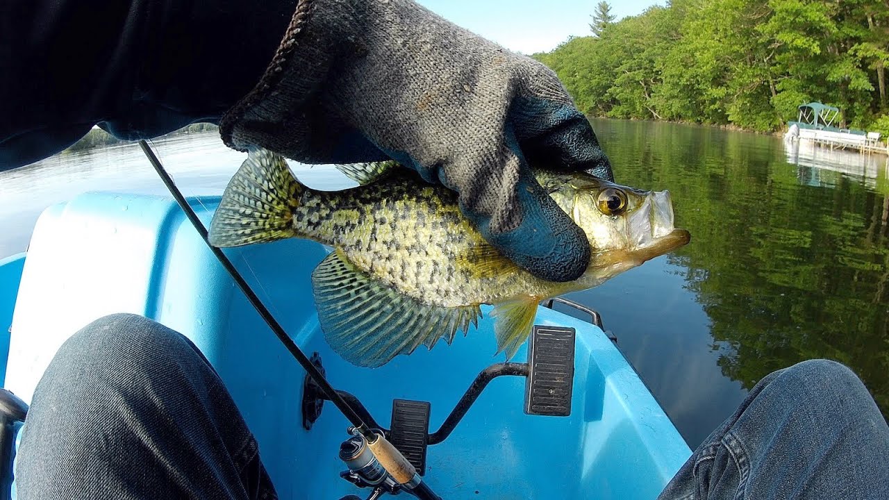Fishing Maine Lake for Perch, Crappie, and Pickerel