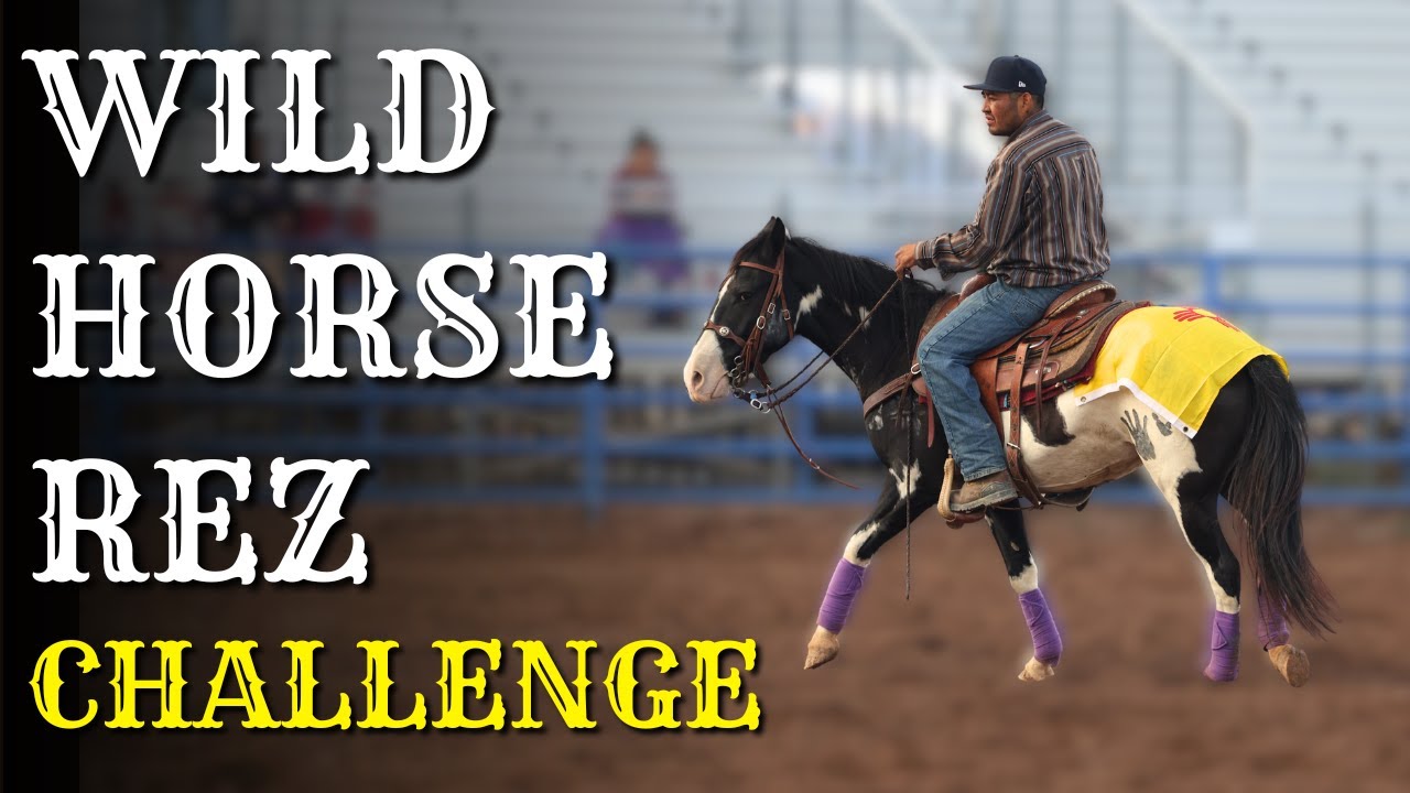 Wild Horse Gentling in 60 DAYS! | Horse Shelter Heroes - S6 E37